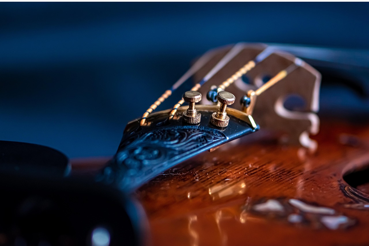 viola, viola bridge, violin, musical instrument, grades, bridge, music passion, maple wood, italian, brown blue, music wallpaper, classical, sound, stringed bowed instrument, i play, spectacular, a masterpiece, violin instrument, cello, make music, music background, hobby, violinist, music sound, tumblr wallpaper, viola, music background, music background, music background, music background, music background
